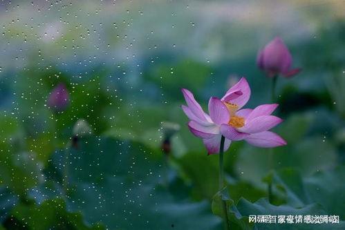 爱已缘尽,一段情感的终结与启示 第2张 爱已缘尽,一段情感的终结与启示 第2张