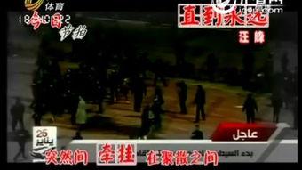 直到永远 2012,2012年的直到永远 第3张 直到永远 2012,2012年的直到永远 第3张