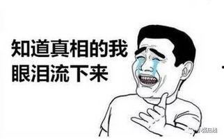 网恋狂想,虚拟世界中的爱情奇幻之旅  第3张