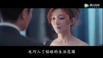 一见先生,揭秘一见先生的传奇人生 第3张 一见先生,揭秘一见先生的传奇人生 第3张