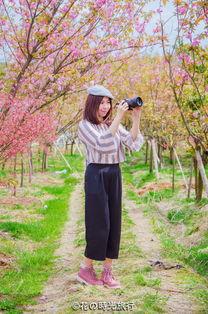 闻香识南枝  第2张