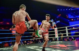 搏击英雄,热血征途，荣耀巅峰  第3张