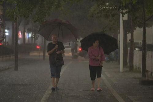 暴雨将至 第3张 暴雨将至 第3张